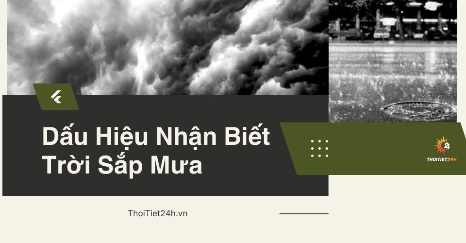 Dấu hiệu nhận biết sắp mưa - 5 cách nhận biết mưa chuẩn nhất